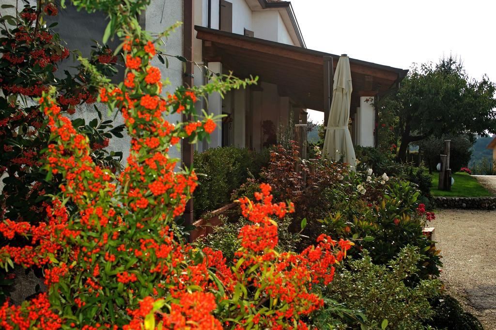 La Staccionata Villa Arpino Екстериор снимка