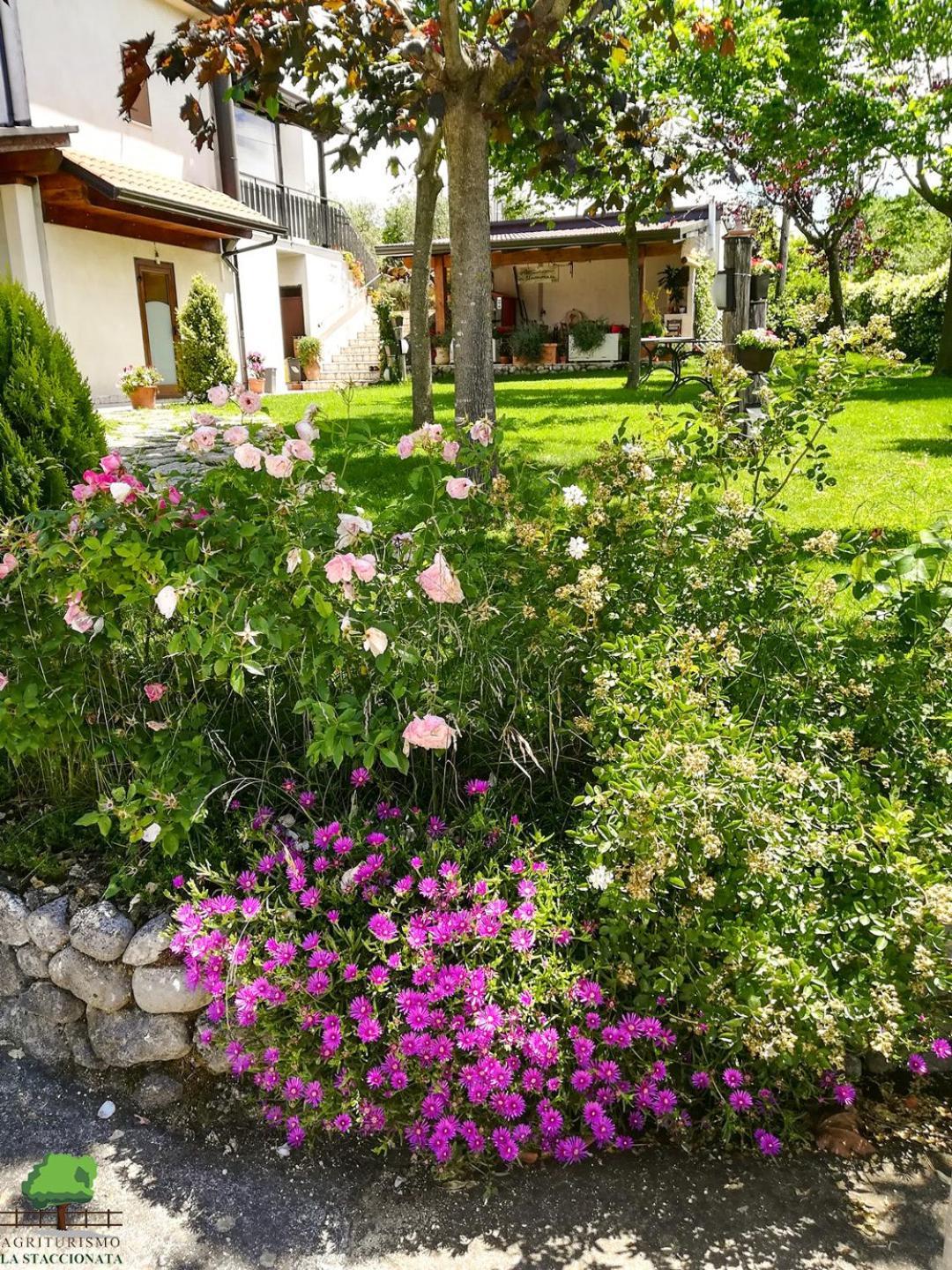 La Staccionata Villa Arpino Екстериор снимка